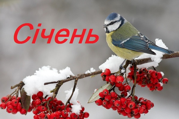 Народні прикмети, січень